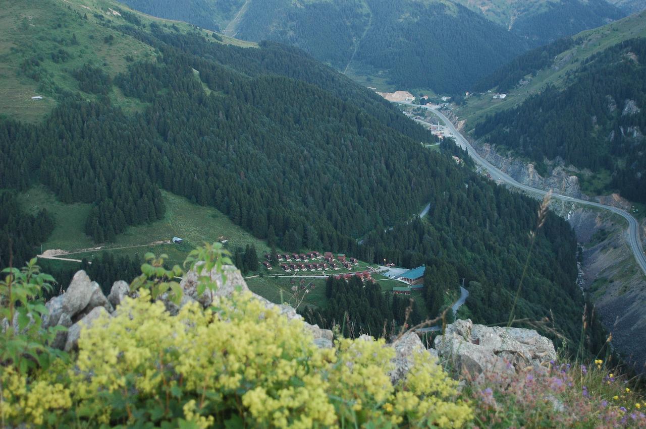 Zitas Zigana Yayla Tatil Koyu Macka Exterior foto