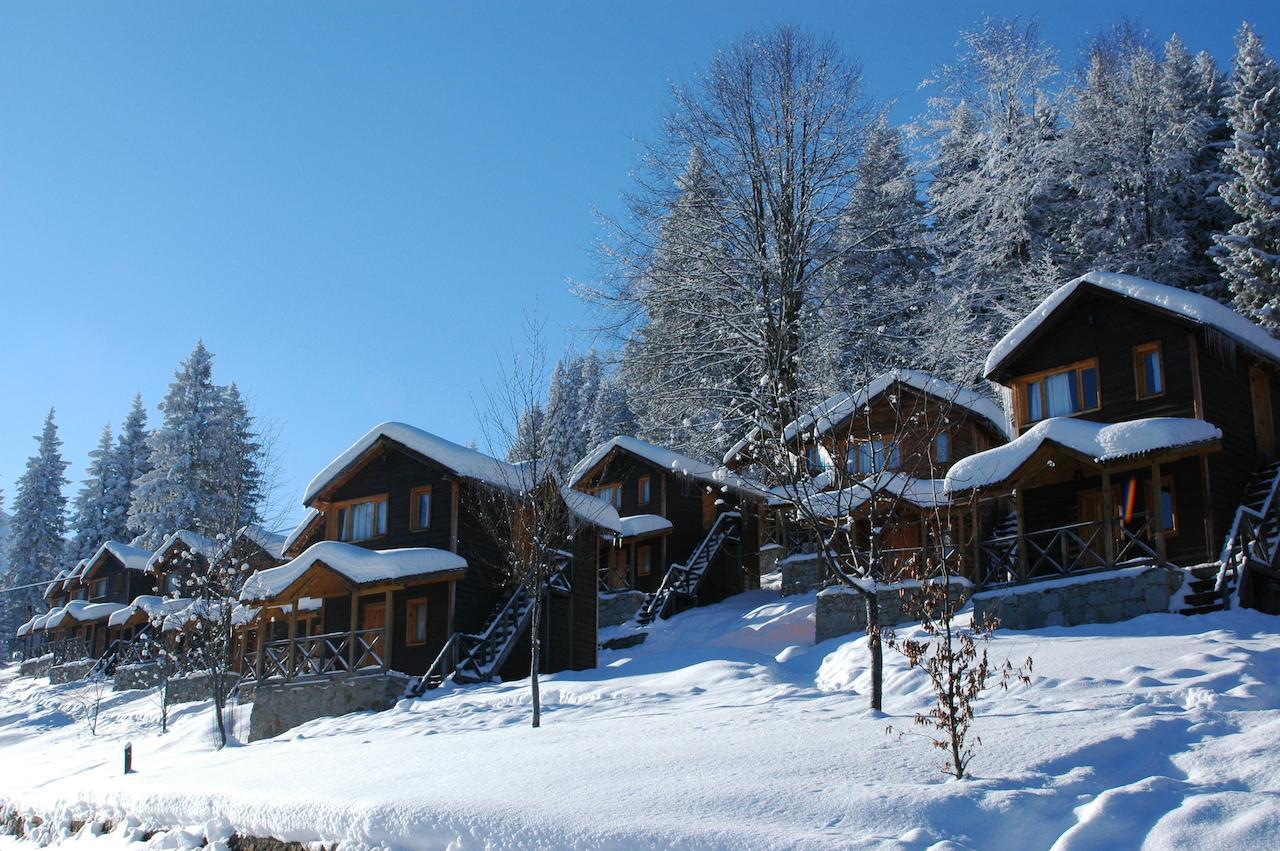 Zitas Zigana Yayla Tatil Koyu Macka Exterior foto
